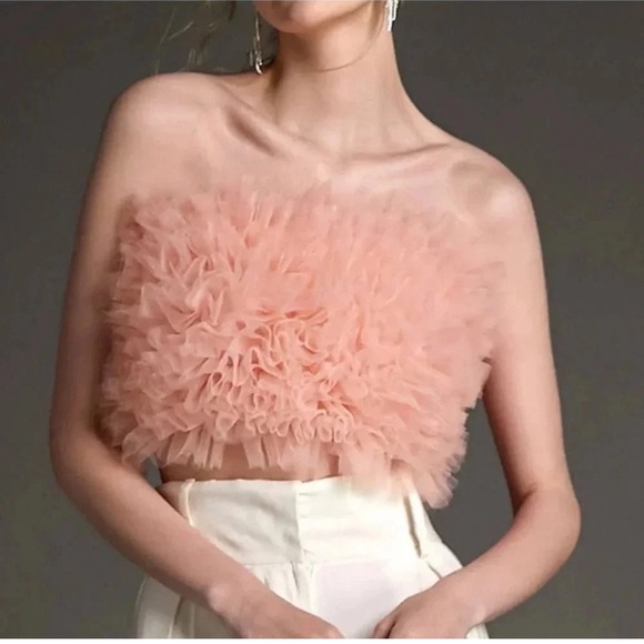 ZARA Pink Tulle Ruffle Strapless Crop Tube Top NWT - Picture 6 of 14